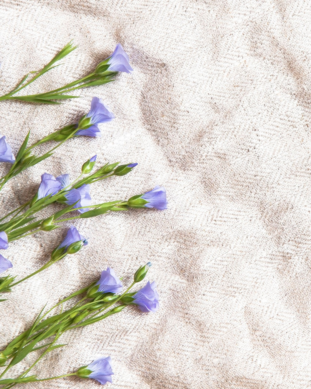 The Benefits of Eco-Friendly Bedding: How Sustainable Materials are Revolutionizing the Bedroom